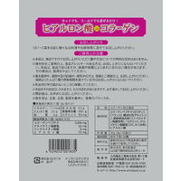 ヒアルロン酸+コラーゲン粉末　　新日配薬品　コラーゲンドリンク　美容ドリンク　1セット（70袋：14袋×5個）