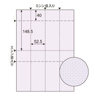 ヒサゴ コピー偽造予防用紙厚口チケット OP2421 1セット(1パック(20シート入)×5)