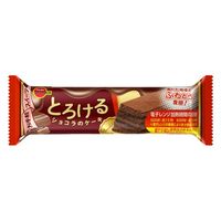 とろけるショコラのケーキ 18個 ブルボン チョコレート 洋菓子
