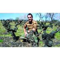 【ナチュラルワイン】ラ・センダ 赤ワイン 750ml 1本