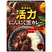 明治 めざめる活力 にんにく黒カレー 中辛 1人前・180g 1セット（6個） レトルトカレー