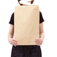 ロジマート 宅配袋大 A3 未晒120g【400枚】320×100×430+50 シール付き 189-400 1セット（直送品）