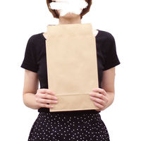 ロジマート 宅配袋特小 A4 未晒120g【100枚】220×65×315+50 シール付き 209-100 1セット（直送品）