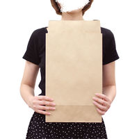 ロジマート 宅配袋小 B4 未晒120g【100枚】260×80×410+60 シール付き 205-100 1セット（直送品）