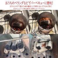 トライソリューションズ ヤシガラ炭（PKS） TR-CC-01 1個（直送品）