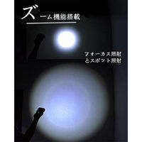 PEETPEN LEDフラッシュライト 1000lm IP68 C60 1個（直送品）