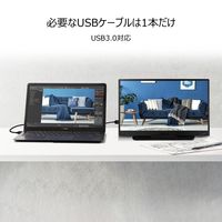 ASUS 15.6インチ モバイルモニター MB165B 1台