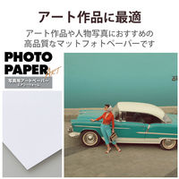 プリンター用紙 写真用紙 2L判 20枚 マット 写真用アートペーパー 特厚手 ホワイト EJK-AW2L20 エレコム 1個