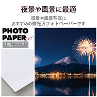 プリンター用紙 写真用紙 A4 20枚 微光沢 写真用アートペーパー 印画紙 厚手 ホワイト EJK-MLA420 エレコム 1個
