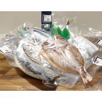 熊栄産業 凍眠市場 気仙沼網元直送 ソフト干物詰合せ 300163 1セット（直送品）