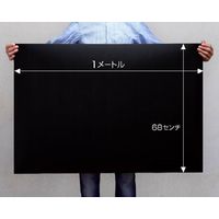 プランドゥーアイ 黒板シート BSP-2LI 1枚