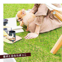 三栄コーポレーション 人工芝ロール 人工芝マット 2m×10m　芝丈35mm フレッシュグリーン/夏色（直送品）