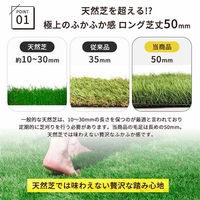 三栄コーポレーション 人工芝ロール 人工芝マット 1m×10m　芝丈50mm ナチュラルグリーン/春・秋色（直送品）