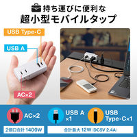 延長コード 電源タップ 2P（ピン） 2個口 USB充電ポート搭載 ホワイト TAP-MUC1AC2W サンワサプライ 1個