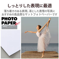 プリンター用紙 写真用紙 ハガキ 30枚 マット 写真用アートペーパー 厚手 ホワイト EJK-QMH30 エレコム 1個