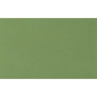 【軒先渡し】ライオン事務器 折りたたみイス グリーン No.221P 1脚（直送品）