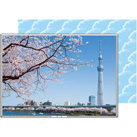 セキセイ パックンアルバム2L スカイツリー PKA-711-00 10個（直送品）