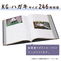 セキセイ ポストカードアルバム　ブルー XP-247P-10 2個（直送品）