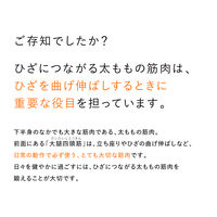 【本体のみ】MTG SIXPAD Knee Fit M SEーAYー00BーM