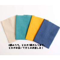 KAWAGUCHI カワグチオーガニックの布で作る みつろうラップ マルチ TK15375 1袋5個入（直送品）