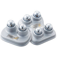 中山式産業 中山式快癒器 マジコミュー 2球式 143100 1個