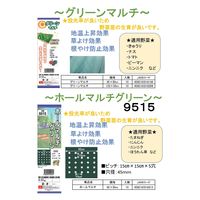 シンセイ グリーンマルチ 0.02×135×50 4582193316206 1セット(10巻)（直送品）