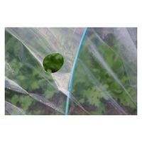 シンセイ 穴あきトンネル2穴 0.05×185x10m 4573459622957 1セット(3枚)（直送品）