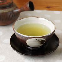 桃翆園 五月みどり 150g×5袋 4975115508580 1箱（直送品）