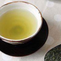 桃翆園 特上出雲やぶきた茶 100g×5袋 4975115508597 1箱（直送品）