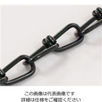 ニッサチェイン Sー206 黒 転倒防止金具80cm2本入 SS206 1セット（直送品）