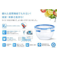 T-fal マスターシール フレッシュ ラウンド 1.1L 保存容器 N10109 1個（直送品）