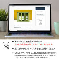 AoyamaLab オンラインギフト URLですぐ納品 贈り物や景品に 「OLiVO」オリーブオイル3本詰め合わせ(100ml×3本) メール1通（直送品）