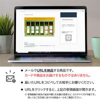 AoyamaLab オンラインギフト URLですぐ納品 贈り物や景品に OLiVO オリーブオイル3本セット メール1通（直送品）