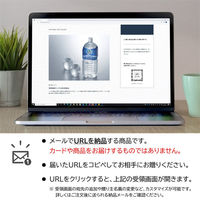 AoyamaLab オンラインギフト URLですぐ納品 贈り物や景品に 山形の極み 月光の水～山形 月山自然水～ メール1通（直送品）