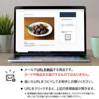 AoyamaLab オンラインギフト URLですぐ納品 贈り物や景品に 日本の極み 宮崎地頭鶏 炭火 焼き鳥 メール1通（直送品）