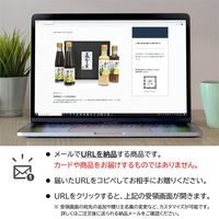 AoyamaLab オンラインギフト URLですぐ納品 贈り物や景品に 直七の里 ぽんず と ドレッシング の 4本 詰め合わせ メール1通（直送品）