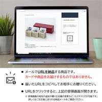 AoyamaLab オンラインギフト URLですぐ納品 贈り物や景品に 雪室貯蔵 銘柄米 セット Ａ D2-ADR9011-dgtl メール1通（直送品）