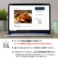 AoyamaLab オンラインギフト URLですぐ納品 贈り物や景品に 鶏三和 国産鶏の 手羽煮 ［醤油味］ メール1通（直送品）