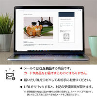 AoyamaLab オンラインギフト URLですぐ納品 贈り物や景品に 鹿児島 小田口屋 「さつま揚げ」 詰合せ Ｃ メール1通（直送品）