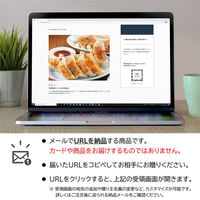 AoyamaLab オンラインギフト URLですぐ納品 贈り物や景品に 黒豚餃子 と 九条葱餃子 と 地鶏餃子 セット メール1通（直送品）