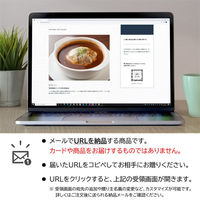 AoyamaLab オンラインギフト URLですぐ納品 贈り物や景品に 大阪 洋食ＲＥＶＯ 名物黒バーグＲ D2-ADR9175-dgtl メール1通（直送品）