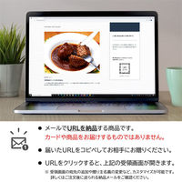 AoyamaLab オンラインギフト URLですぐ納品 贈り物や景品に 洋食レストラン ノワ・ド・ココ 黒毛和牛入 煮込みハンバーグ メール1通（直送品）