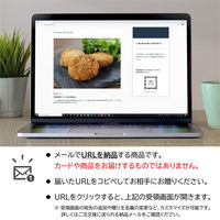 AoyamaLab オンラインギフト URLですぐ納品 贈り物や景品に 和歌山水産会社製造 まぐろ メンチカツ メール1通（直送品）