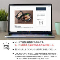 AoyamaLab オンラインギフト URLですぐ納品 贈り物や景品に 山口県の魚の純米大吟醸漬 (12尾) メール1通（直送品）