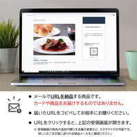 AoyamaLab オンラインギフト URLですぐ納品 贈り物や景品に ホテルオークラ 神戸牛 ビーフシチュー メール1通（直送品）