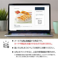 AoyamaLab オンラインギフト URLですぐ納品 贈り物や景品に 瀬戸内六穀豚 大きな餃子 セット D2-ADR9210-dgtl メール1通（直送品）