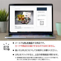 AoyamaLab オンラインギフト URLですぐ納品 贈り物や景品に うなぎ割烹「一愼」うなぎ蒲焼味わいセット メール1通（直送品）