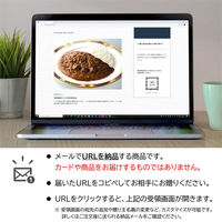 AoyamaLab オンラインギフト URLですぐ納品 贈り物や景品に 神戸ベイシェラトン ホテル＆タワーズ 神戸牛 カレー メール1通（直送品）