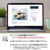 AoyamaLab オンラインギフト URLですぐ納品 贈り物や景品に 「銀座千疋屋」 銀座プレミアムアイス メール1通（直送品）
