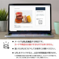 AoyamaLab オンラインギフト URLですぐ納品 贈り物や景品に 東京 「マカロン・エ・ショコラ」 オリジナルギフト メール1通（直送品）
